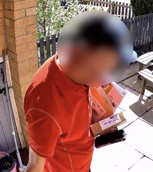 Doorbell Cam Captures Postal Worker Kicking Puppy in the Face – Animalpond